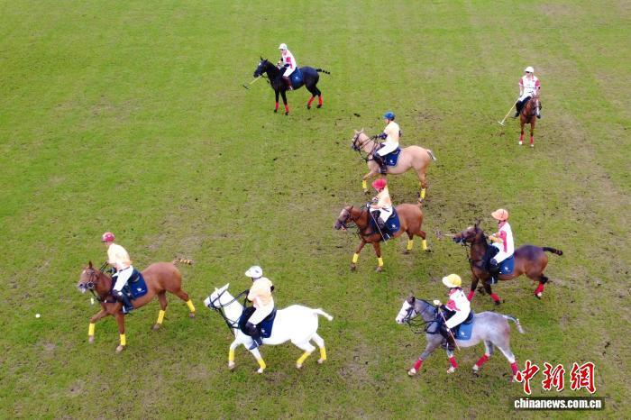 对于发展马, 比赛现场